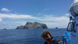 malpelo14