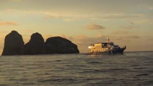 Buceo en Malpelo