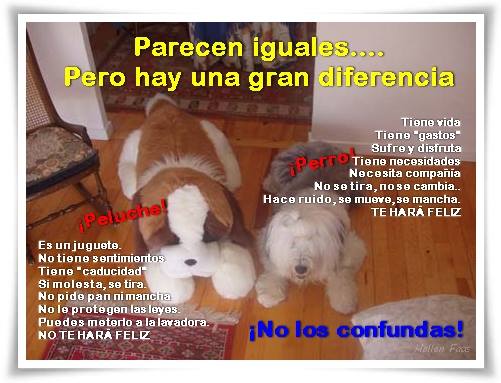 No compres, adopta