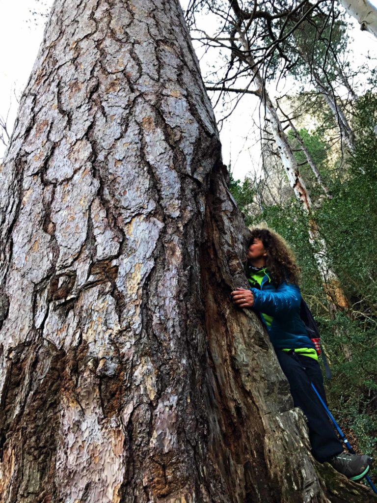 ¡Te quiero, árbol!